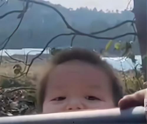 娱乐吃瓜酱喊男生宝宝,揭秘明星间的甜蜜互动