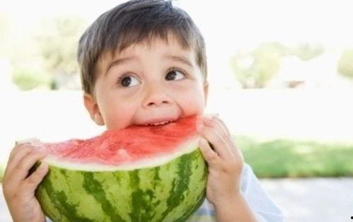 娱乐吃瓜宠物小说