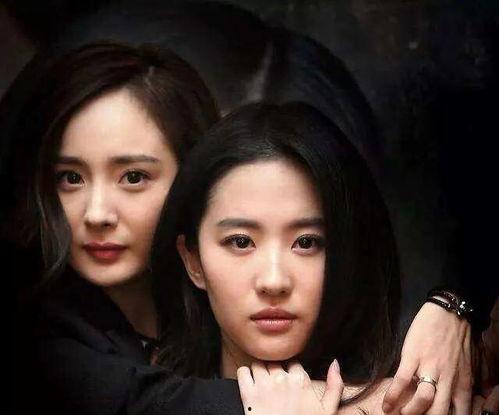 娱乐圈资深吃瓜人小说,揭秘明星背后的秘密与真相